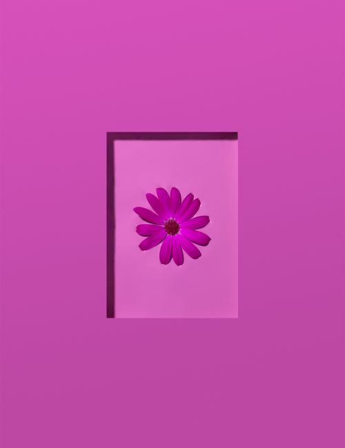 Matteo Rolfi - Matteo-Rolfi-Beauty-and-Products-Personal-Project-43-Nature-Flowers-Paint